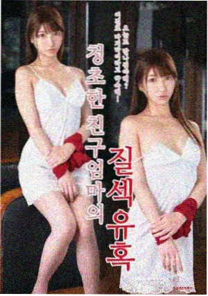魔法俏佳人 花语之约 剧集